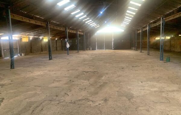 Amplia Parcela Industrial/Comercial en Villa Alemana – 10.000 m²