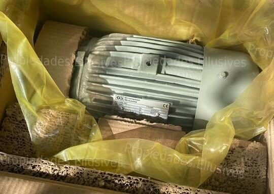 Venta Motor Trifásico Crompton Greaves ND90L (Nuevo)