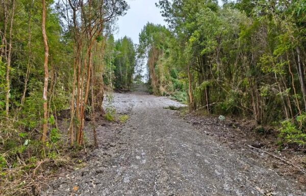 OPORTUNIDAD DE INVERSIÓN: Parcela de 10.000 m² en Sector Agoní, Chiloé