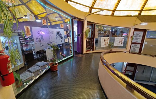 Oportunidad: Locales Comerciales en Paseo Latorre, Villa Alemana